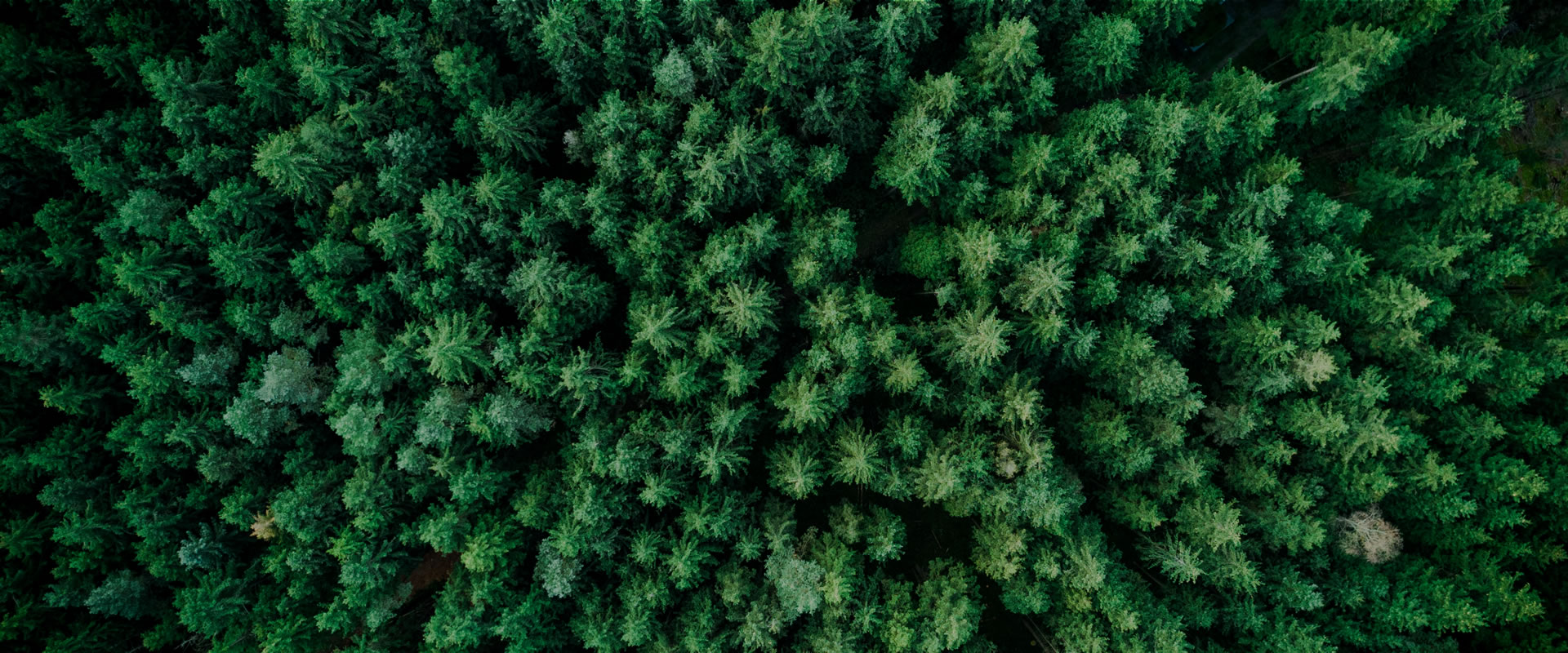 加速世界零碳能源革命 推动地球绿色生态发展 爱蓄电池出货量超过130GW