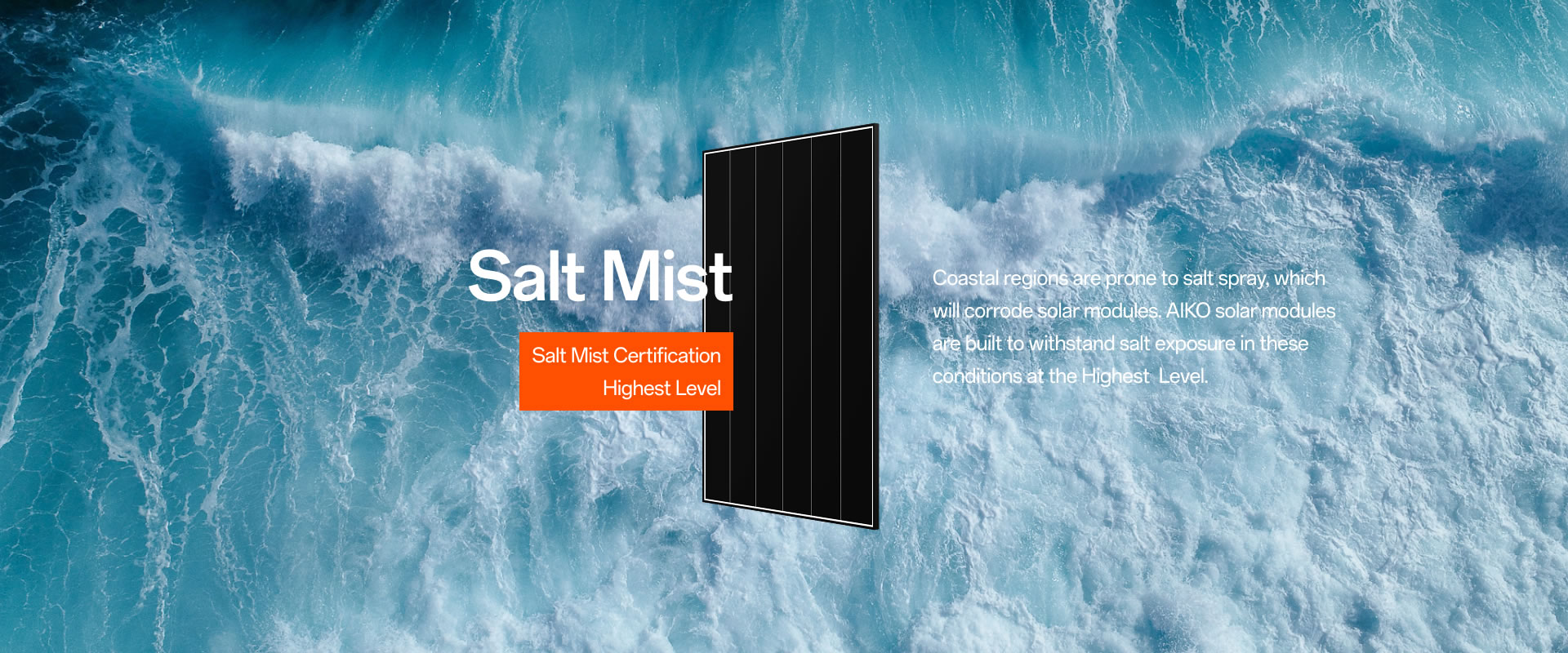 Salt Mist