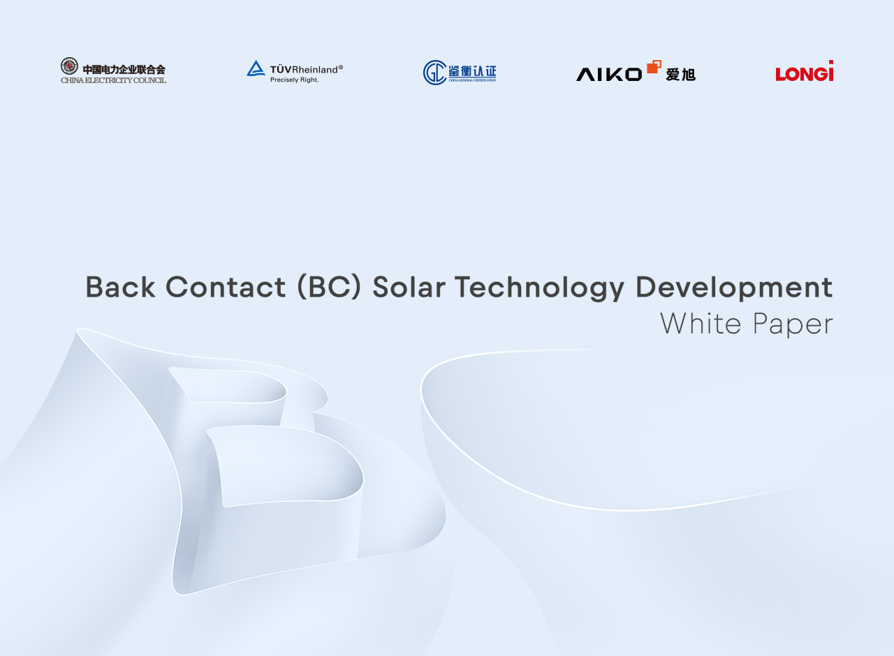 バックコンタクト（BC）型太陽電池技術開発に関するホワイトペーパー